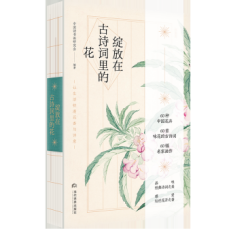 �`���ڹ�Ԋ�~��Ļ�