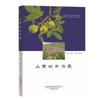 ɽ������cҹ