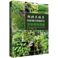 ����ľ���Ӈ��Ҽ���Ȼ���o(h��)�^(q��)̦�\ֲ��D�b