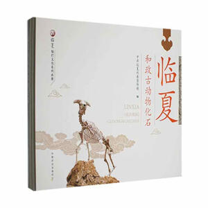 �R�ĺ����ń�(d��ng)�ﻯʯ