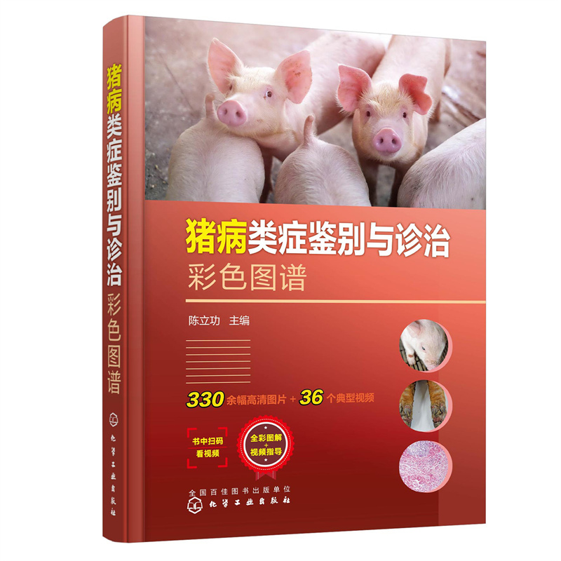 �i��Y�b�e�c�\�β�ɫ�D�V