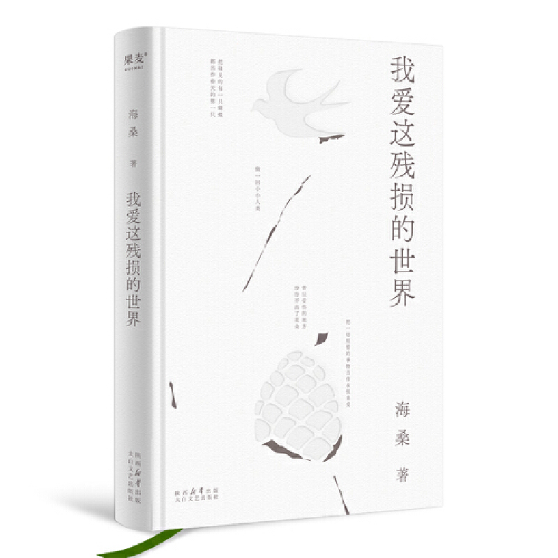 �Ґ��@���p�����磨��ɣȫ��Ԋ�������������(ji��)�ﱾ���������ô�������������㶼���������ҵ�һ�c��������