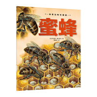 �����(d��ng)��������-�۷�