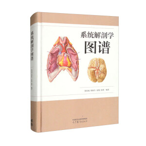 ϵ�y(t��ng)���ʌW(xu��)�D�V