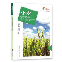 С���Gɫ��(y��u)�|(zh��)��Ч���༼�g(sh��)