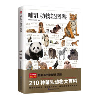 �����(d��ng)���p�D�b