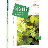 �rʳ���у�(y��u)�|��Ч���༼�g