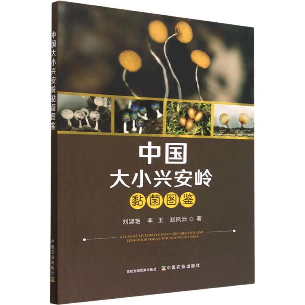 �Ї�(gu��)��С�d���X���D�b