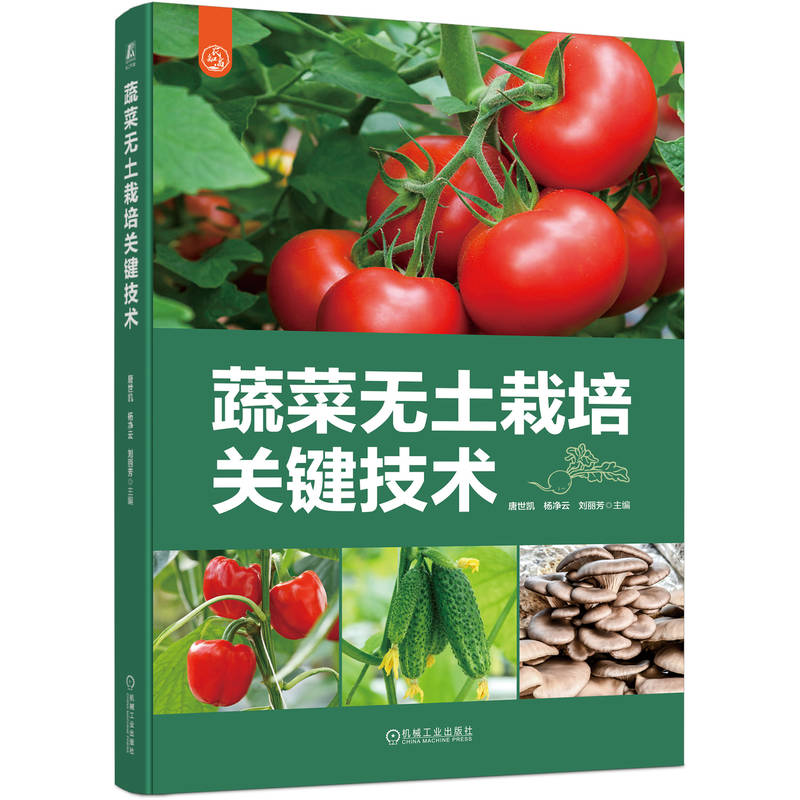 �߲˟o�������P(gu��n)�I���g(sh��)