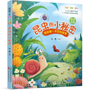 ���x��С����