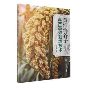 �S�������Ӹ߮a(ch��n)��Ч���༼�g(sh��)