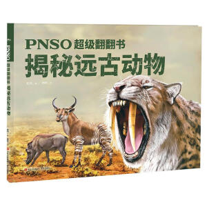 �����h�ń���