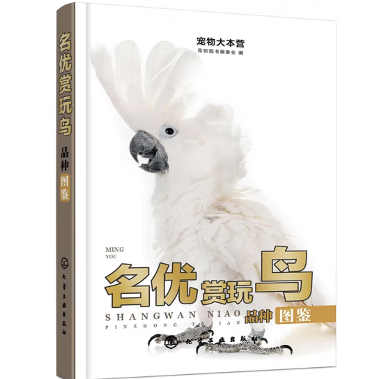 ����󱾠I--����(y��u)�p���BƷ�N�D�b