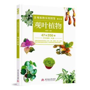 ���^ֲ��ÈD�b