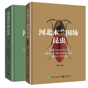 �ӱ�ľ�m�������x