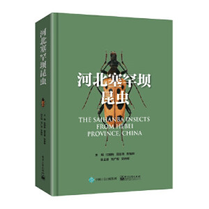 �ӱ����������x