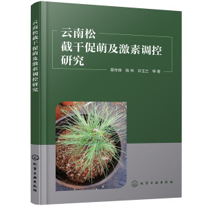 �����ɽظɴ��ȼ������{(di��o)���о�