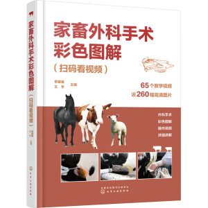 ����������g��ɫ�D�⣨�ߴa��ҕ�l��