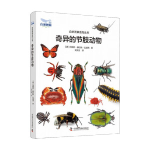 �殐�Ĺ�(ji��)֫��(d��ng)��