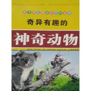 �殐��Ȥ���������