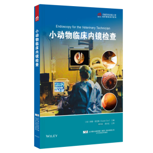 С��(d��ng)���R����(n��i)�R�z��