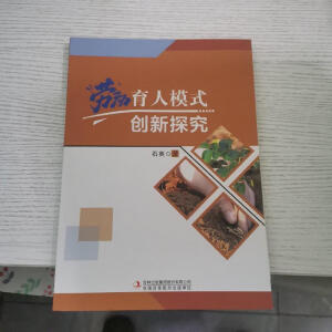 �ڄ�����ģʽ��(chu��ng)��̽��