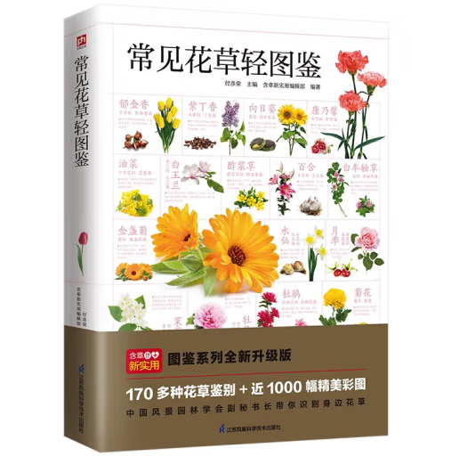 ��Ҋ�����p�D�b