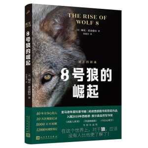 8̖�ǵ�����