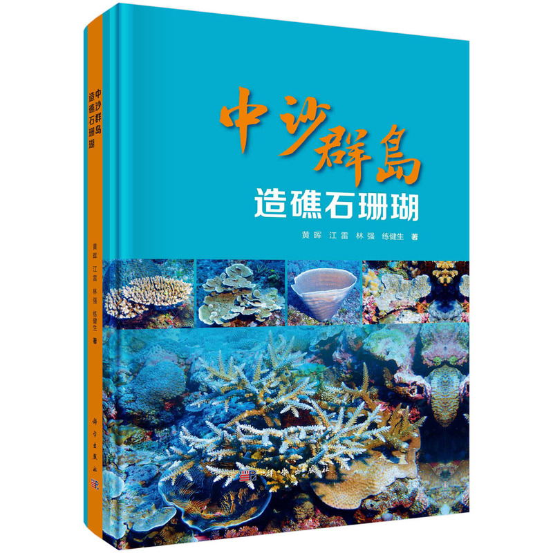 ��ɳȺ�u�콸ʯɺ��