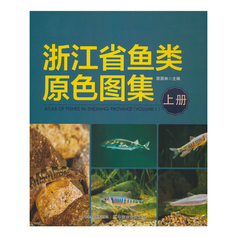 �㽭ʡ�~�ԭɫ�D�����σ�(c��)��