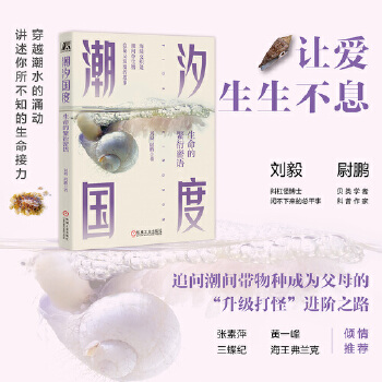 ��ϫ���ȣ������ķ������Z