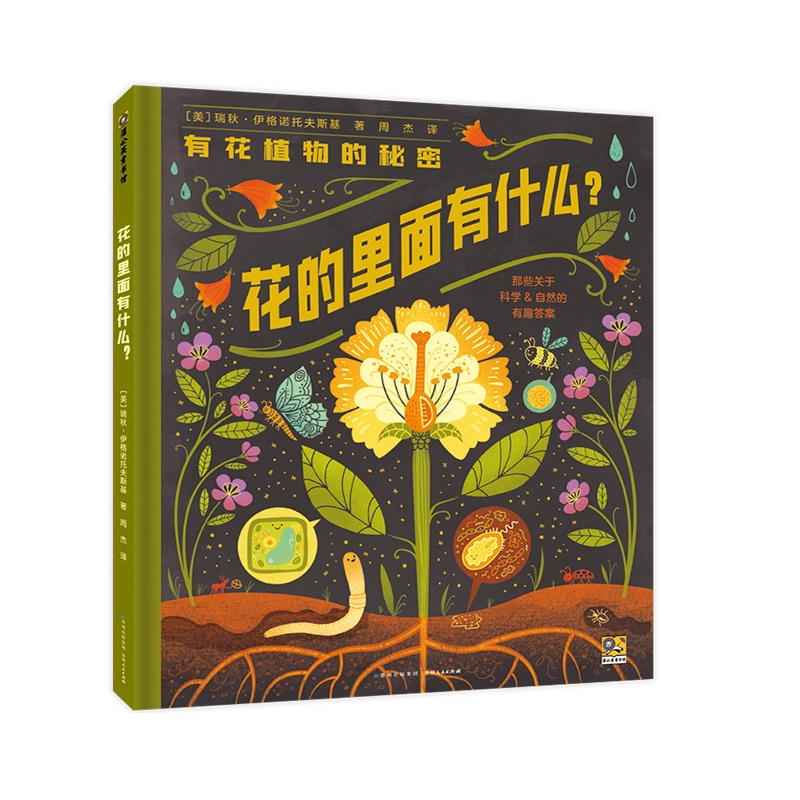 ����������ʲô��