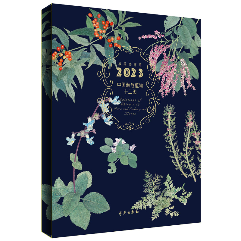 �Ї��lΣֲ��ʮ���D ����݋��2023���_�v��