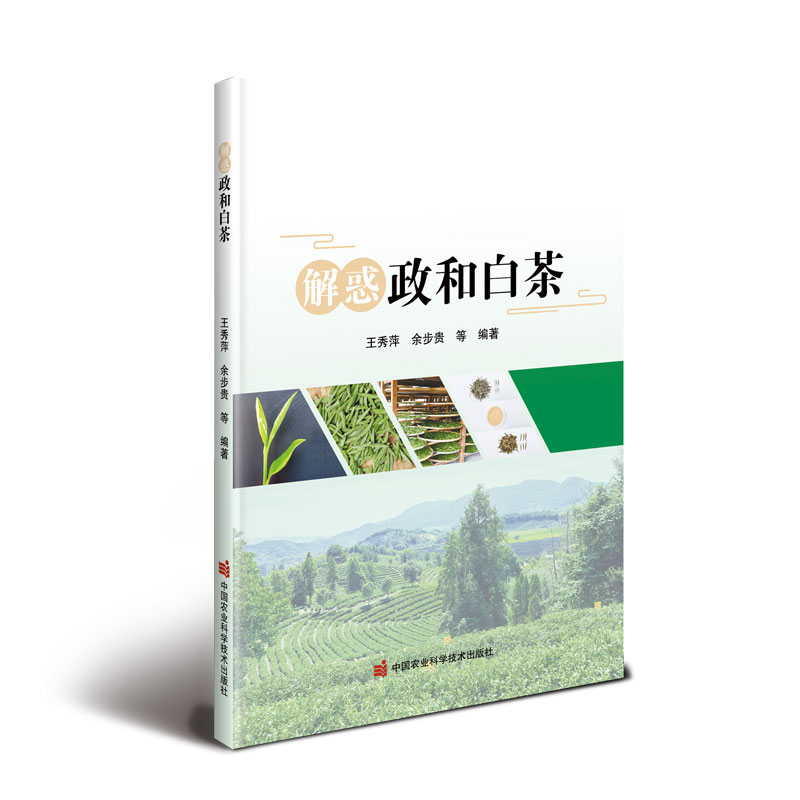 ������Ͱײ�