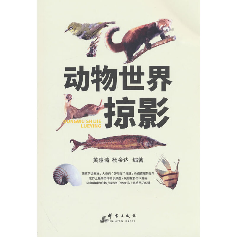 ����������Ӱ