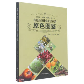 Ƥ̥������������������������ɫ��(j��ng)��(j��)�ֲ��x(ch��ng)���\��