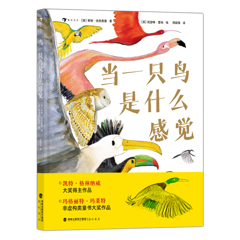 ��(d��ng)һֻ�B��ʲô���X �c���H�BW(xu��)�ҡ��宋��(ji��ng)����һ���� ̽���B�(d��)�ص����ʽ