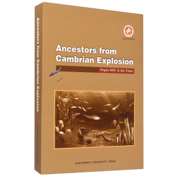 ����󱬰l(f��)�r������h�棨Ӣ�İ棩