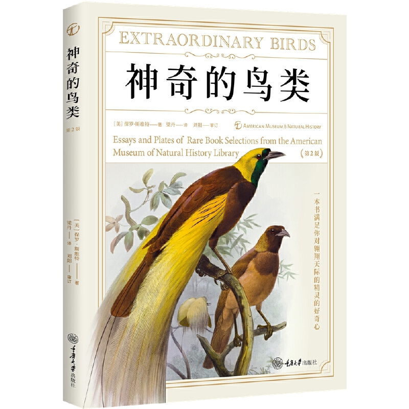 ������B���2�棩