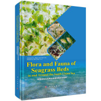 ���Ї���������߅���򺣲ݴ���(d��ng)ֲ�Ӣ�İ棩