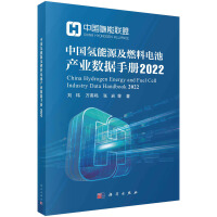 �Ї�(gu��)����Դ��ȼ��늳خa(ch��n)�I(y��)��(sh��)��(j��)�փ�(c��)2022