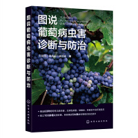 �D�f���Ѳ��x���\���c����