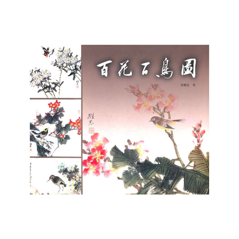 �ٻ����B�D