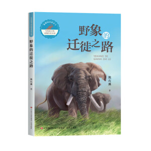 ���o���ӵĄ�(d��ng)�����С�f��Ұ����w��֮·