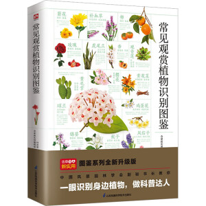 ��Ҋ�^�pֲ���R�e�D�b ���x200��N��Ҋ�^�pֲ�� 800��������DƬ �����D��ֲ�：��(ji��) �����p���R�e �B(y��ng)�oֲ��