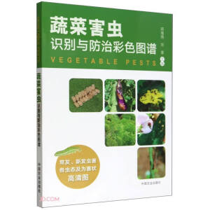 �߲˺��x�R�e�c���β�ɫ�D�V