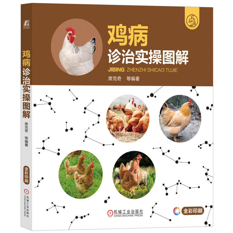 �u���\�Ό�(sh��)�وD��