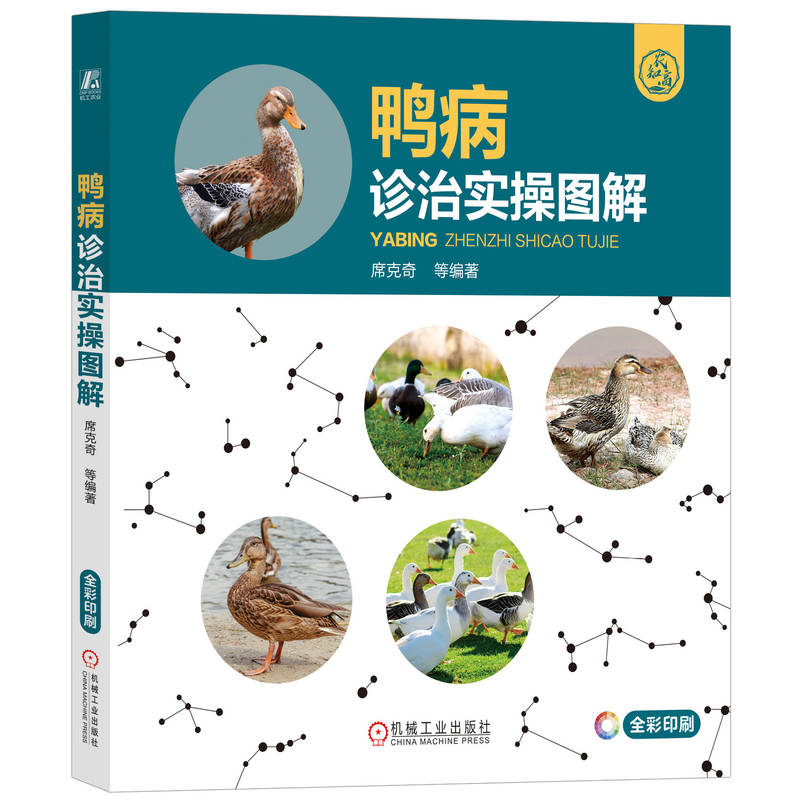 �����\�Ό�(sh��)�وD��