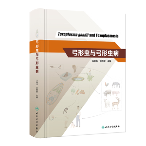 �����x�c�����x��