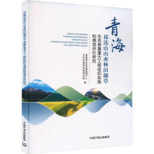 �ຣ���Bɽɽˮ����������B(t��i)�ޏ��ش󹤳̽M����ʩ�Ϳ�Ч�u�r�о�